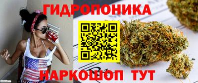 сатива Тула